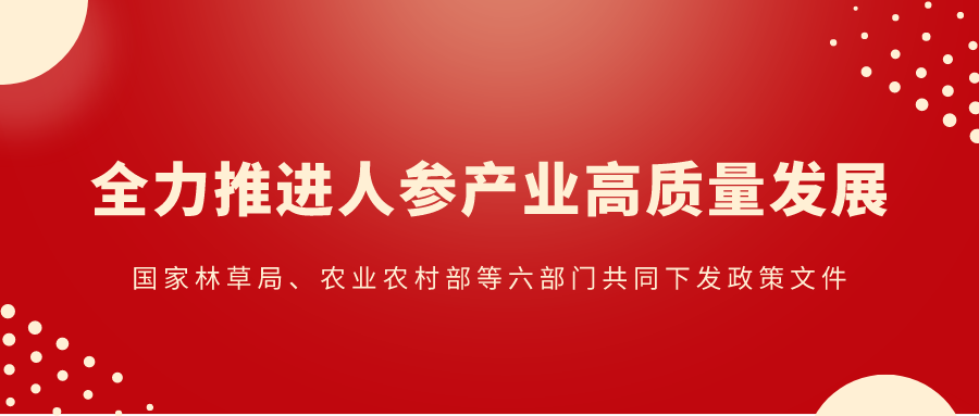 关于为您解答bob综合官网app登录
(今日最新解答)的相关图片