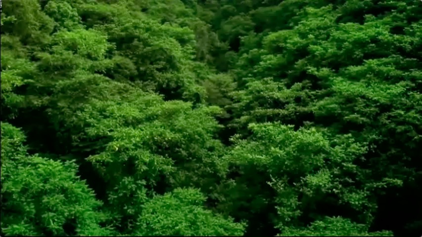 123.jpg